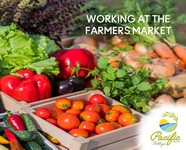 PFC Farmer Markets - Streamed by Taylor Jackson