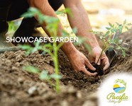 PFC Showcase Garden - Streamed by Taylor Jackson